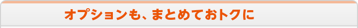 オプションも、まとめておトクに