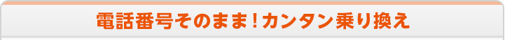 電話番号そのまま！カンタン乗りかえ