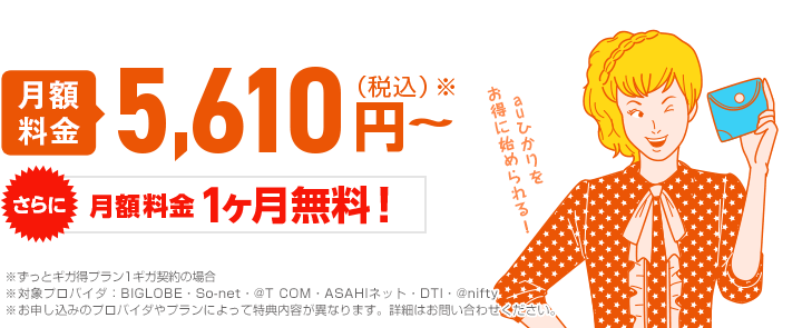 月額料金5,610円～※