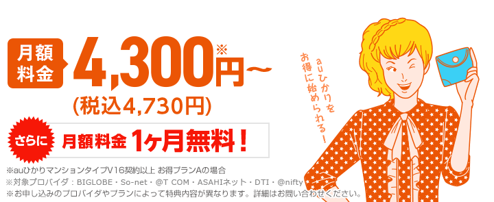 月額料金4,300円~(税込4,730円)※