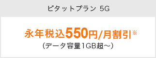 新auピタットプランNの場合