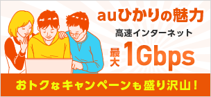 auひかりの魅力