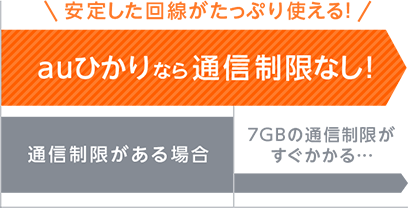 安定した回線がたっぷり使える！